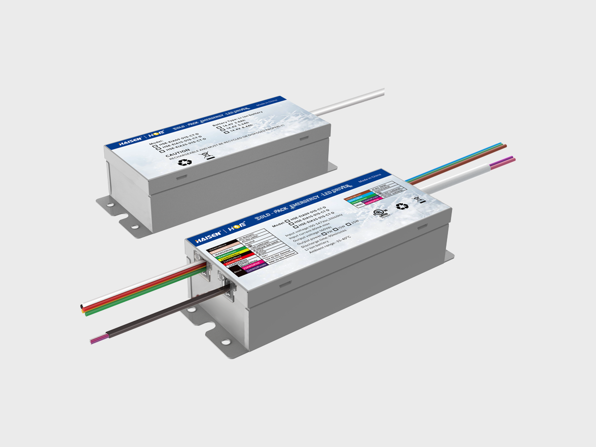 HSE-EIA-01S-CTD.png