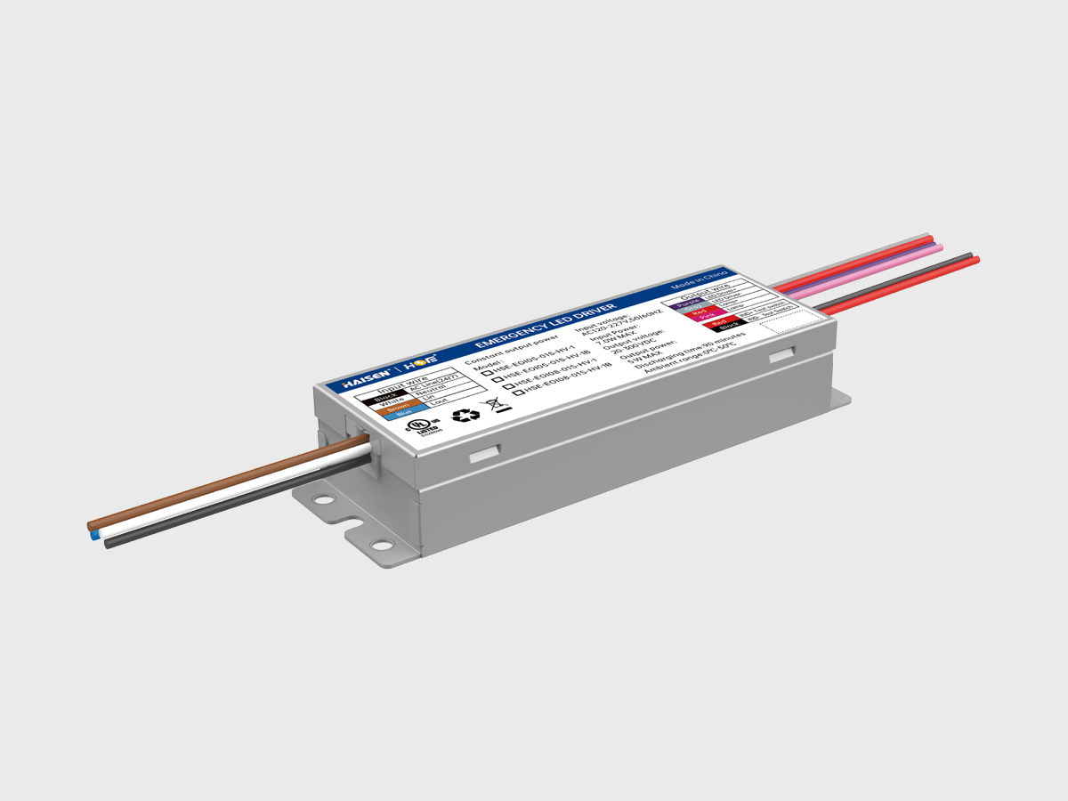 HSE-EOI-01S-I-1.png