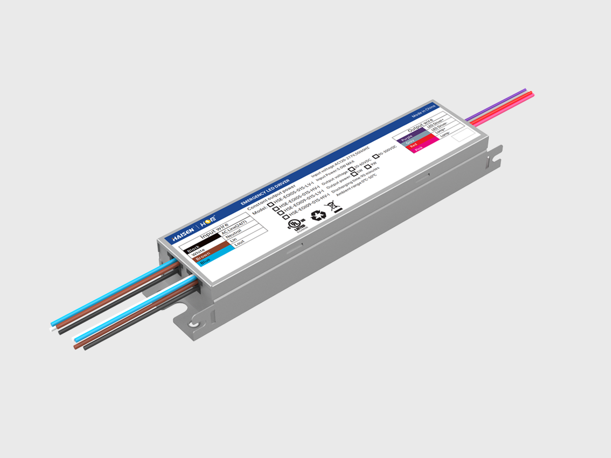 HSE-EOI-01S-I.png