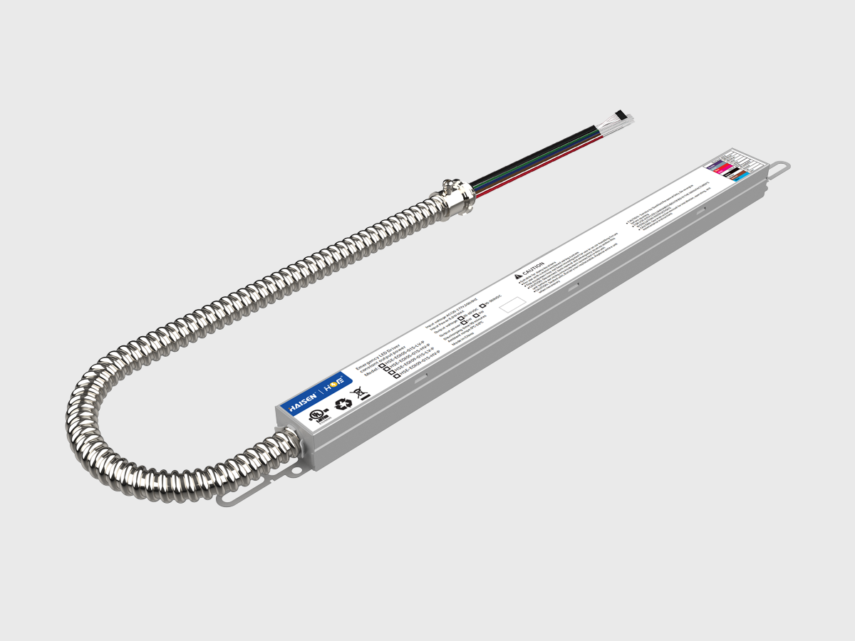 HSE-EOI-01S-P.png